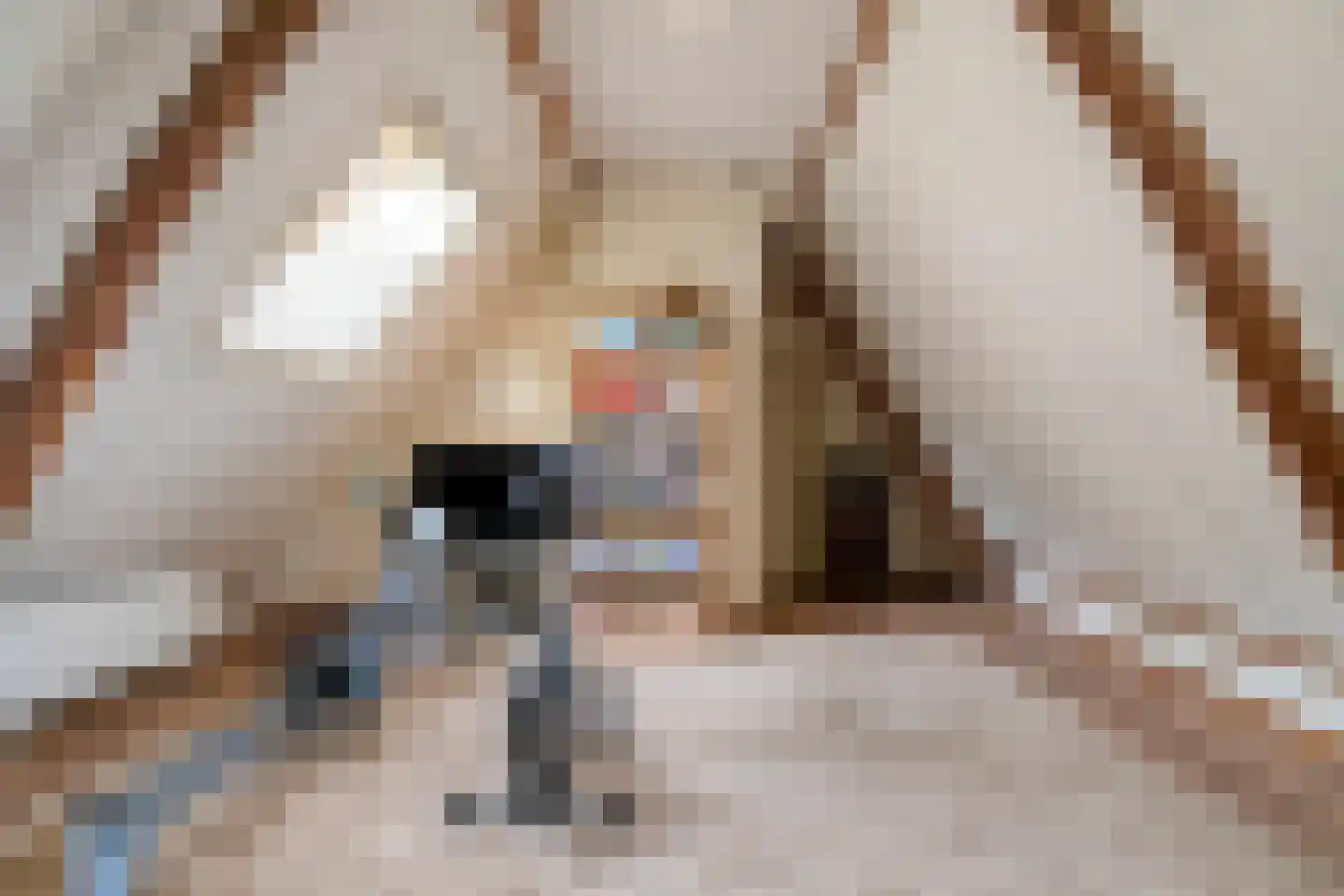 Weverstraat 32 Nistelrode thumbnail 38