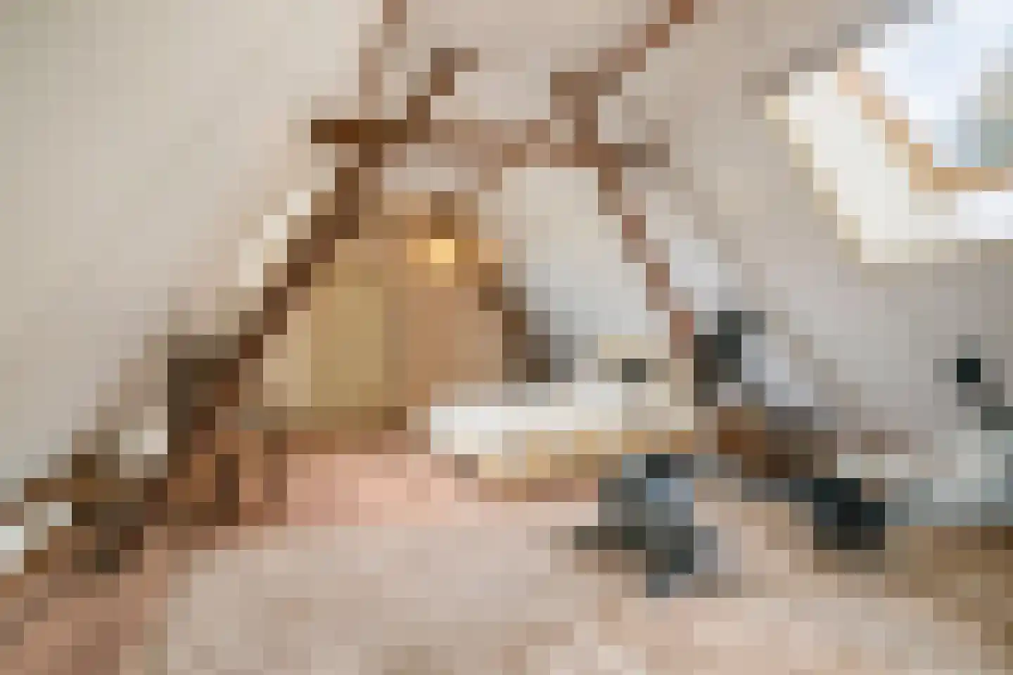 Weverstraat 32 Nistelrode thumbnail 39