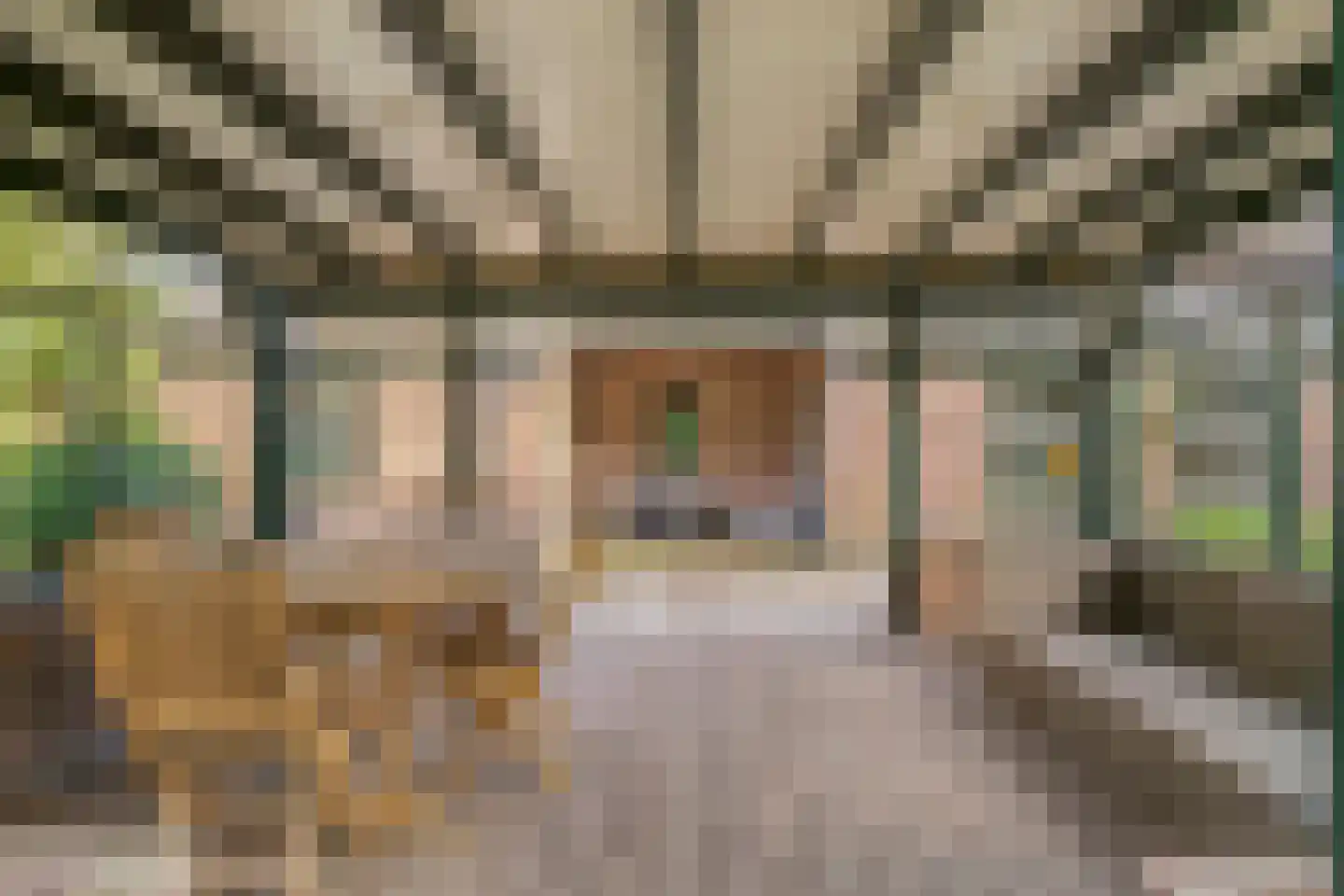 Weverstraat 32 Nistelrode thumbnail 49