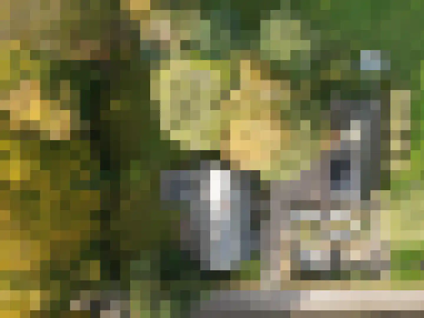 Weverstraat 32 Nistelrode thumbnail 5