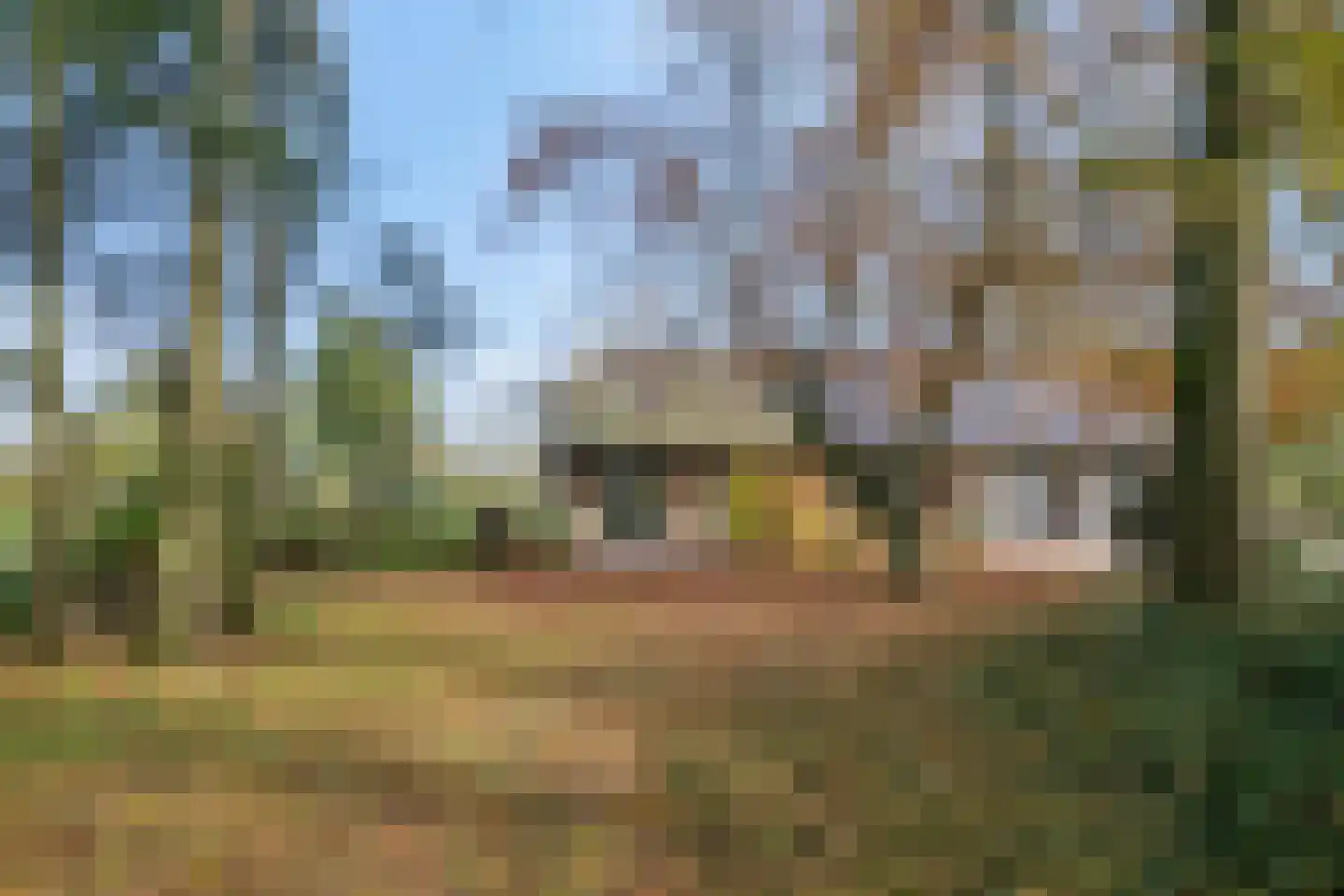 Weverstraat 32 Nistelrode thumbnail 50