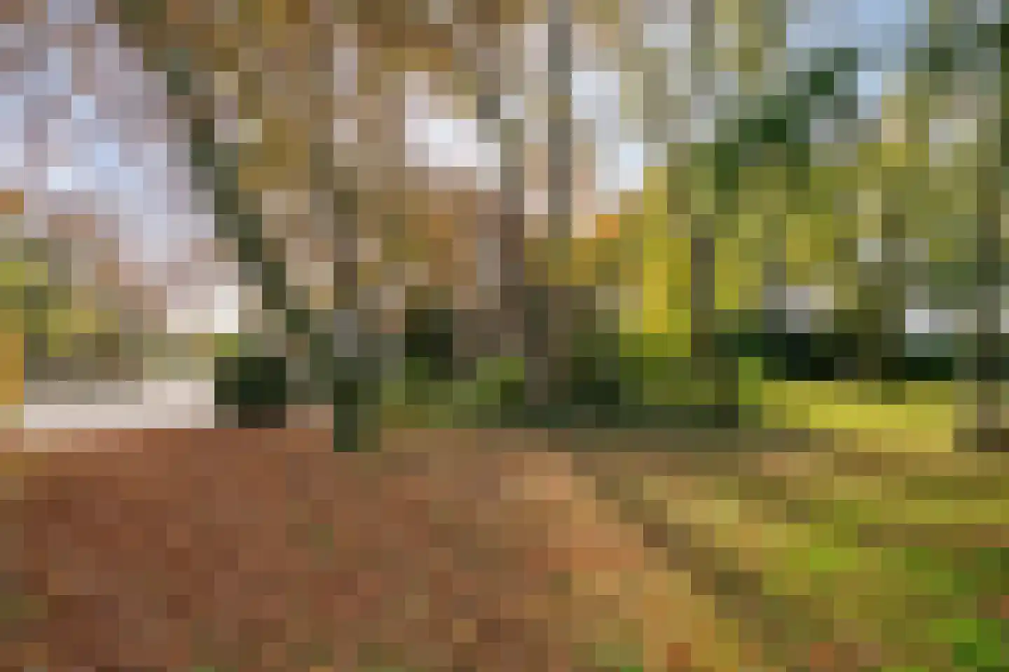 Weverstraat 32 Nistelrode thumbnail 51
