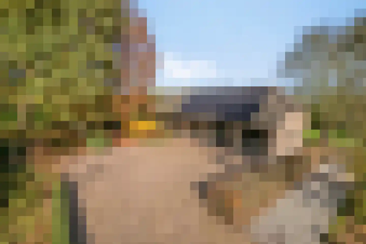 Weverstraat 32 Nistelrode thumbnail 57