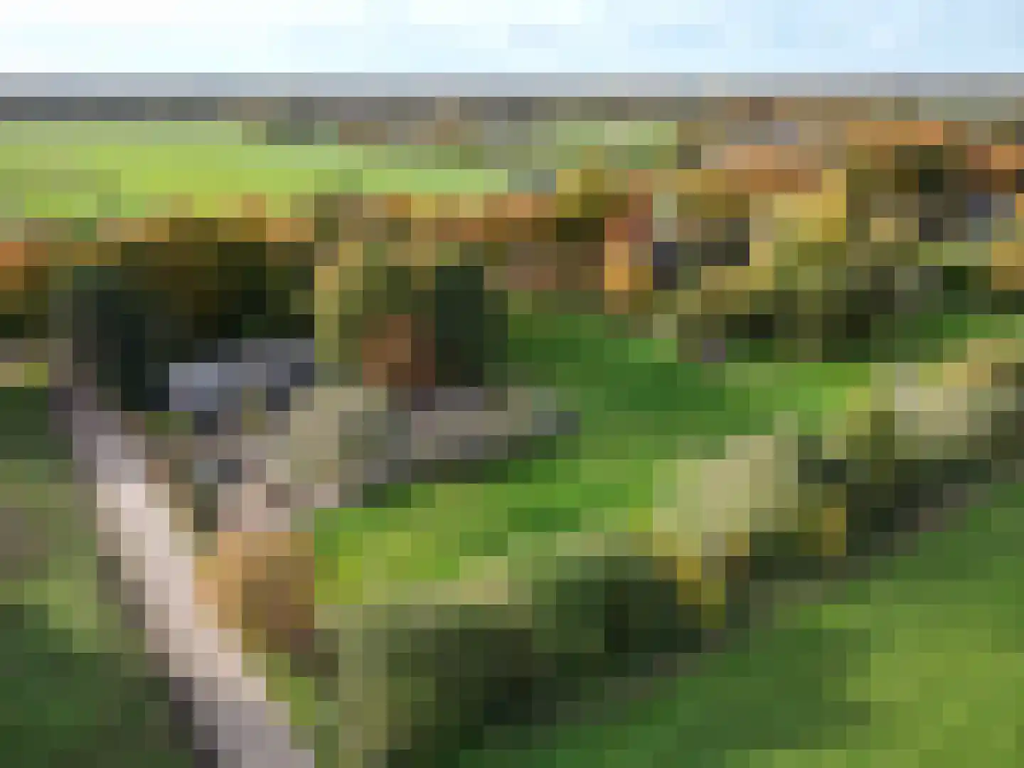 Weverstraat 32 Nistelrode thumbnail 6