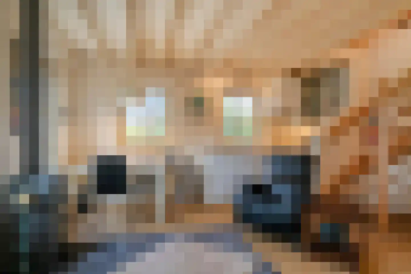 Weverstraat 32 Nistelrode thumbnail 64