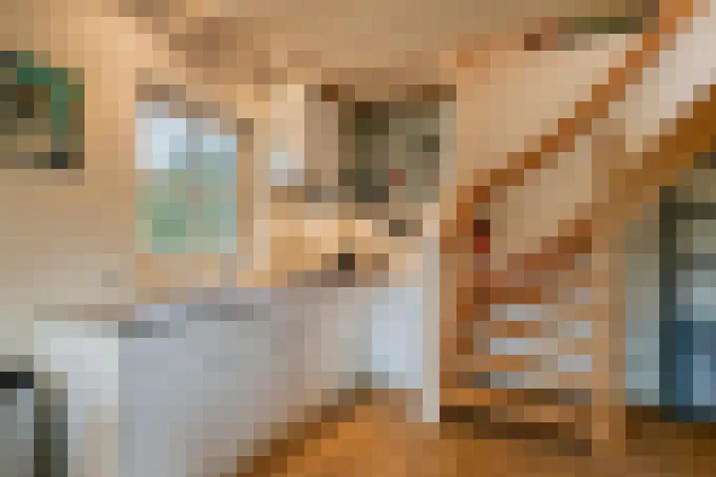 Weverstraat 32 Nistelrode thumbnail 65