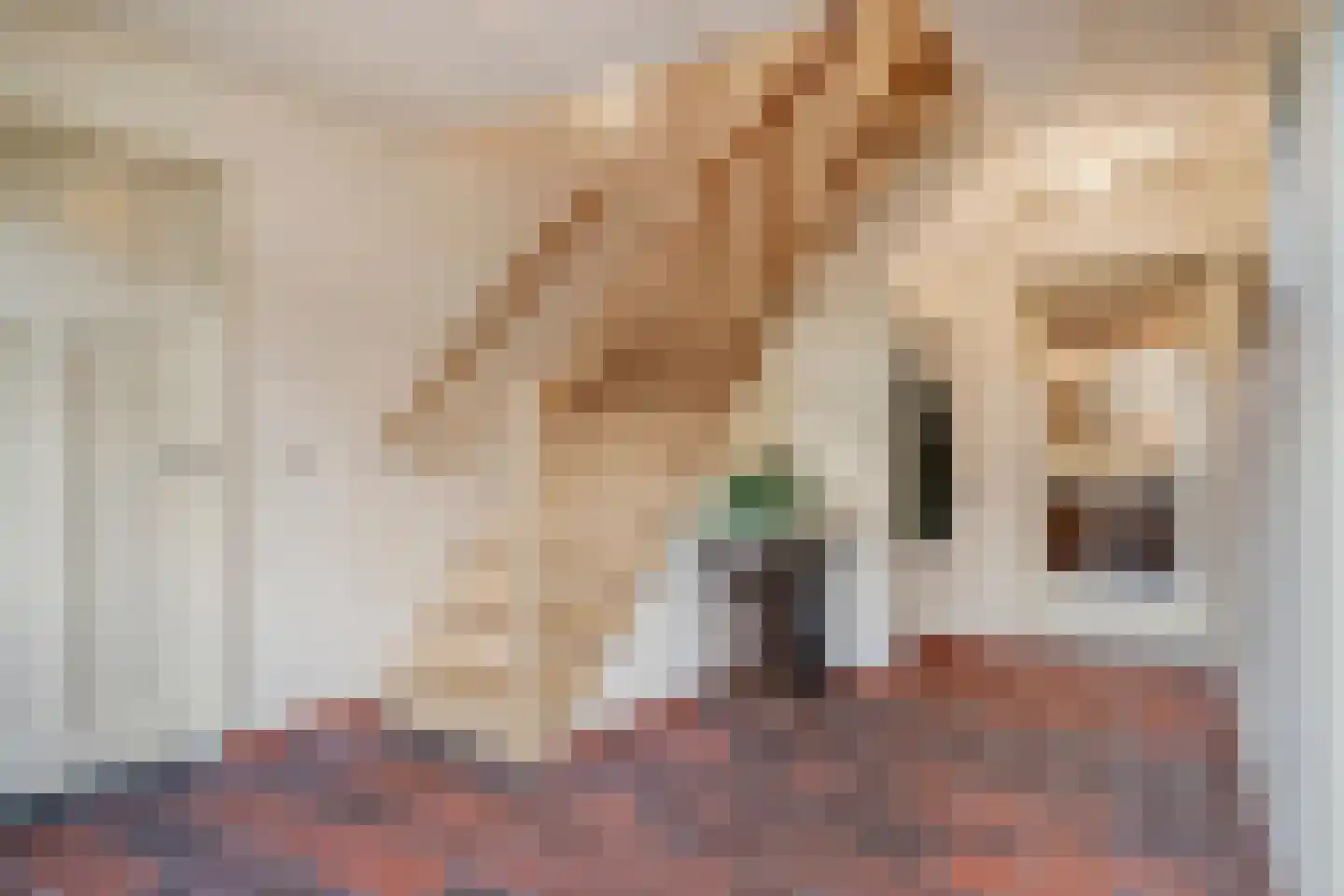 Weverstraat 32 Nistelrode thumbnail 8
