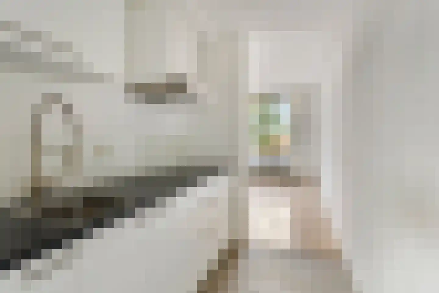 Weverstraat 33 Eindhoven thumbnail 16