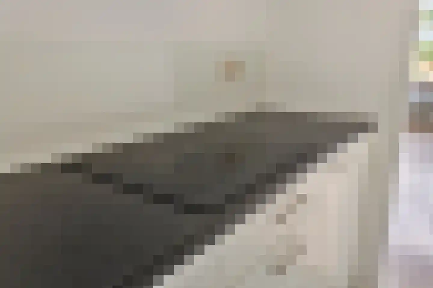 Weverstraat 33 Eindhoven thumbnail 17