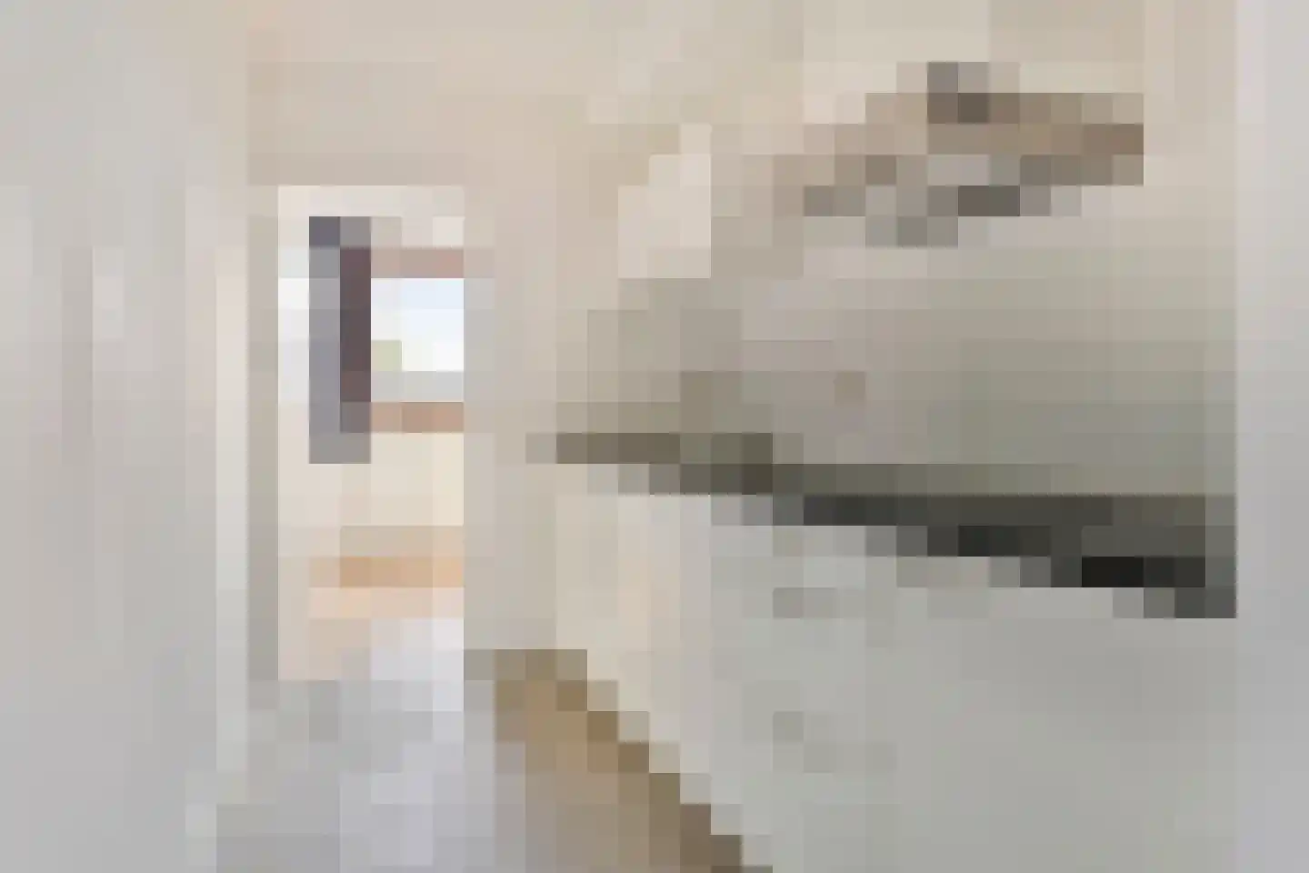 Weverstraat 33 Eindhoven thumbnail 19
