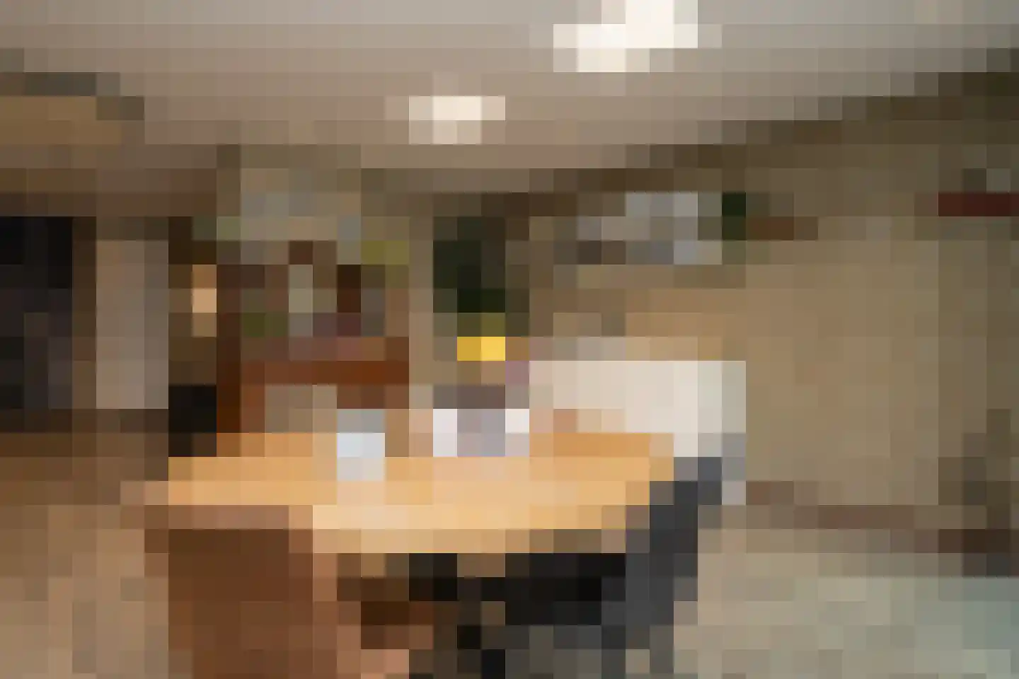 Weverstraat 37 Den Burg thumbnail 11
