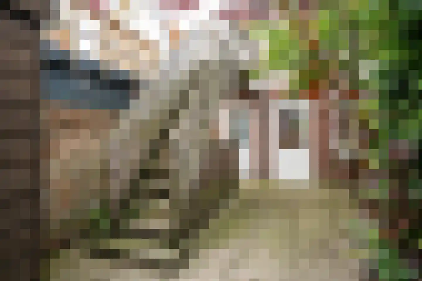 Weverstraat 37 Den Burg thumbnail 19