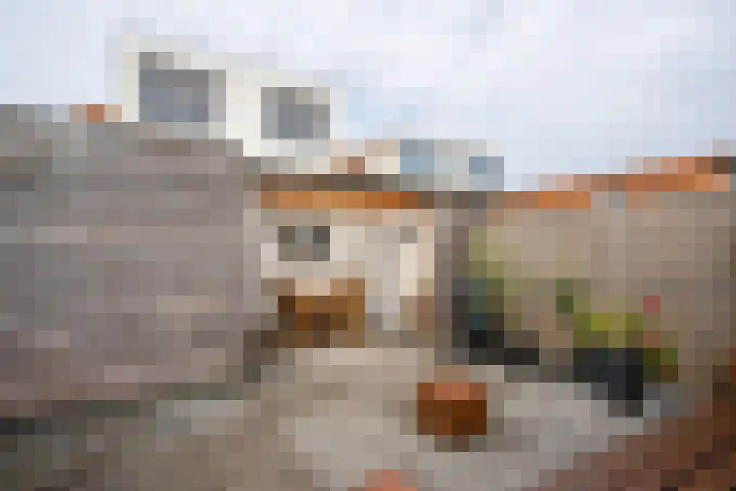 Weverstraat 37 Den Burg thumbnail 20