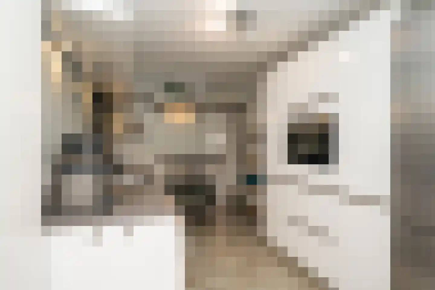 Weverstraat 37 Den Burg thumbnail 25