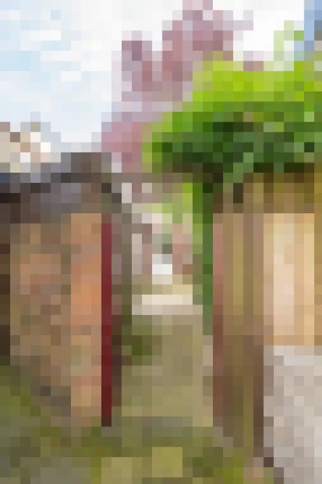 Weverstraat 37 Den Burg thumbnail 46