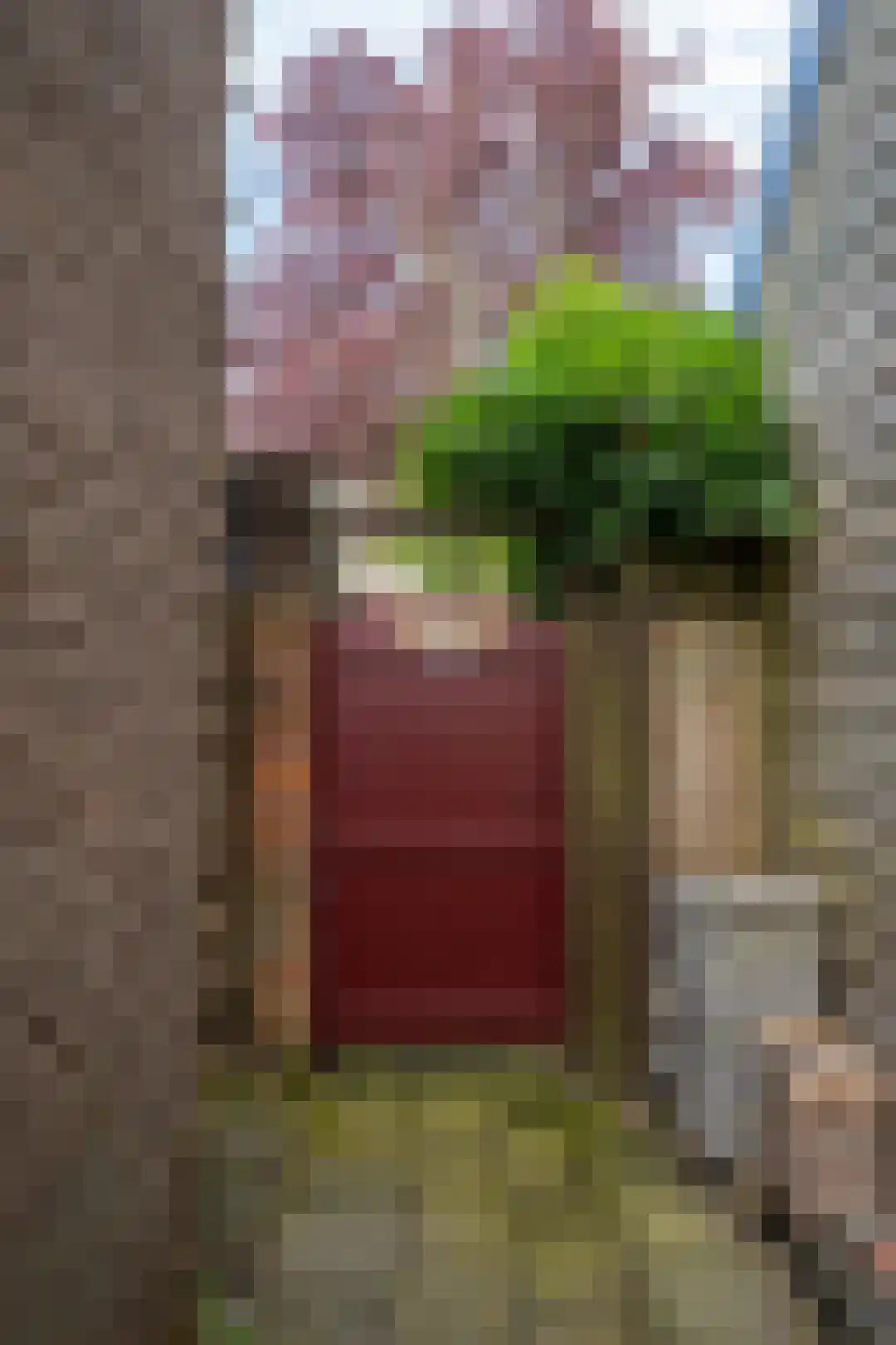 Weverstraat 37 Den Burg thumbnail 47