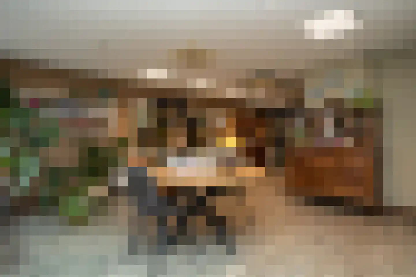 Weverstraat 37 Den Burg thumbnail 5