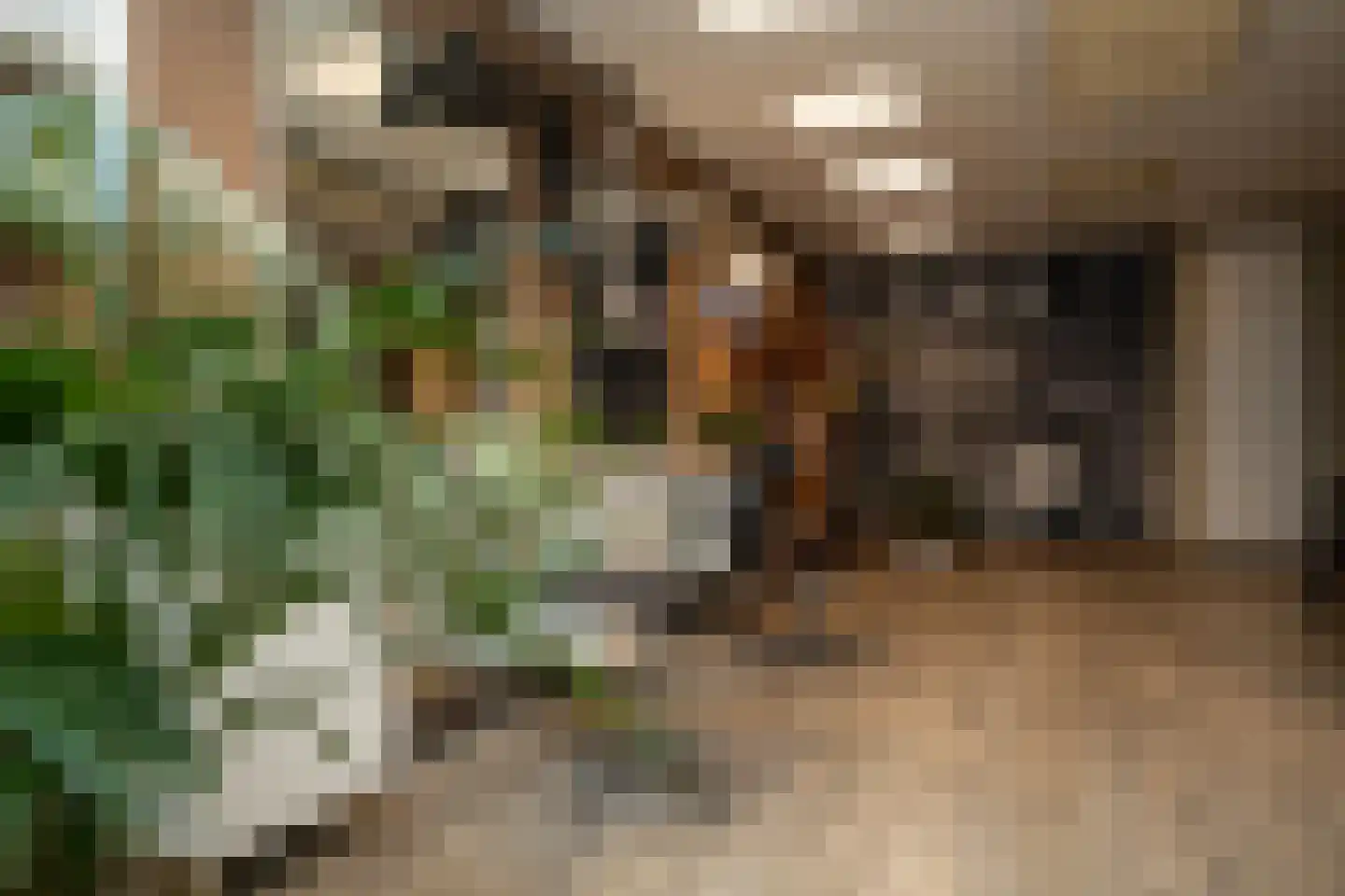 Weverstraat 37 Den Burg thumbnail 7