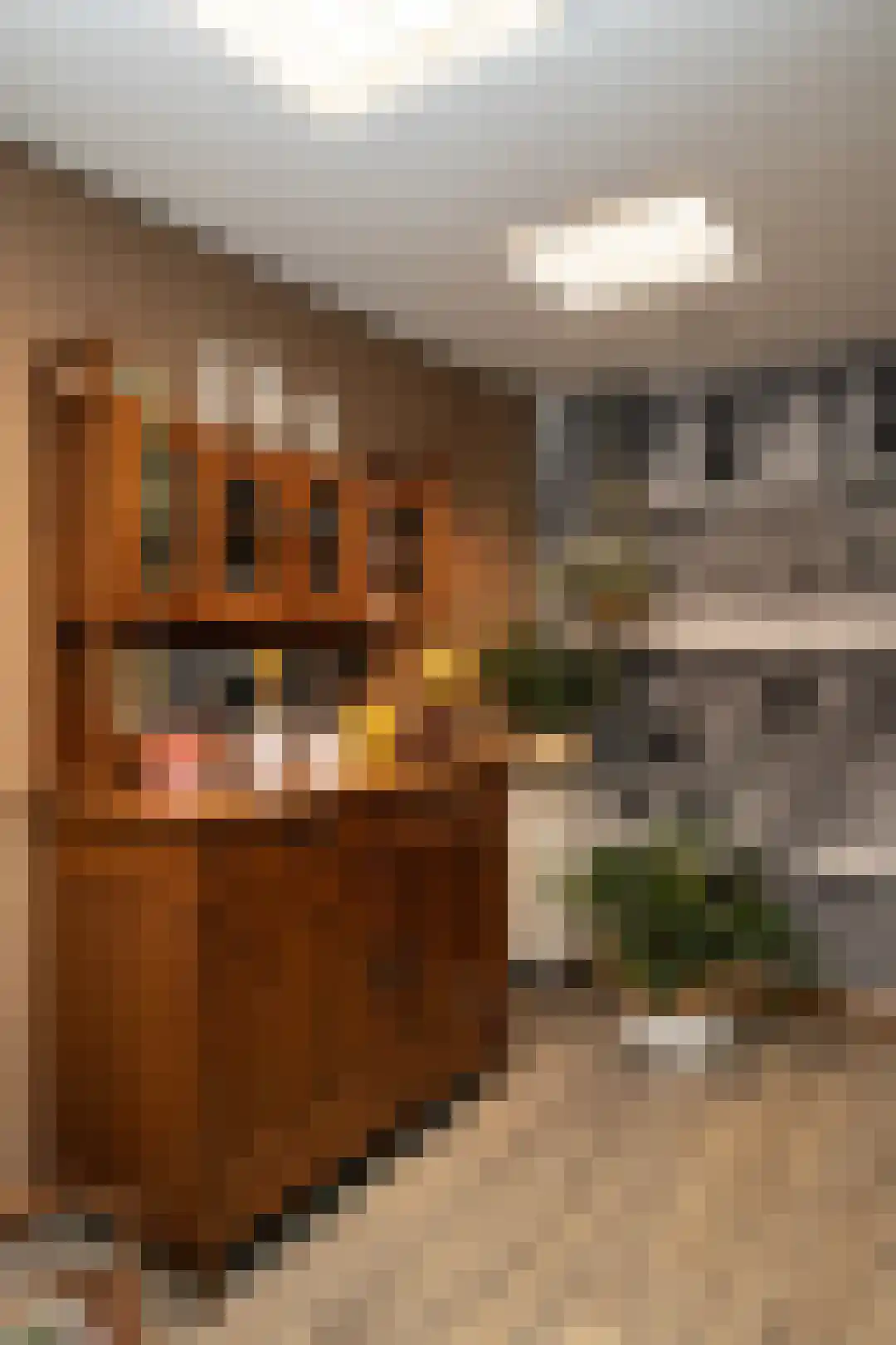 Weverstraat 37 Den Burg thumbnail 9