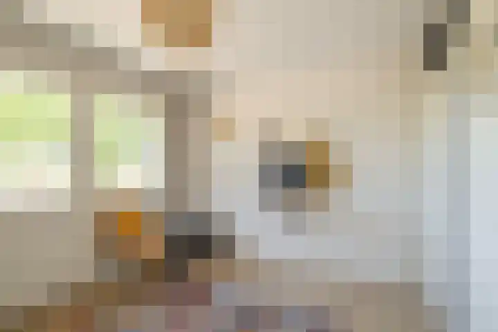 Weverstraat 37 Overdinkel thumbnail 17