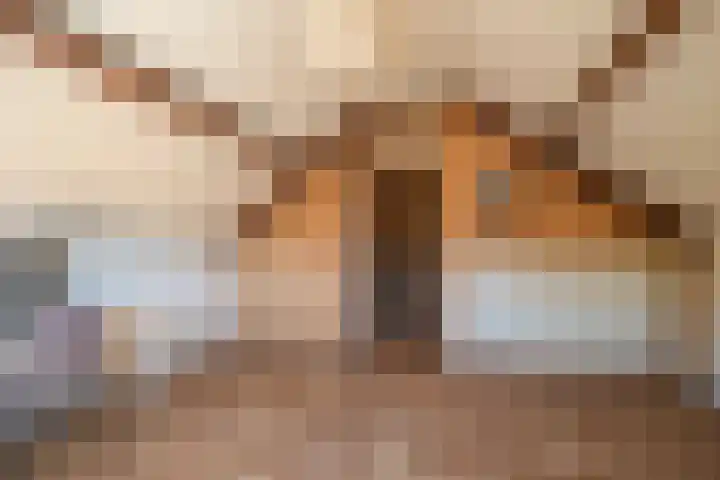 Weverstraat 37 Overdinkel thumbnail 24