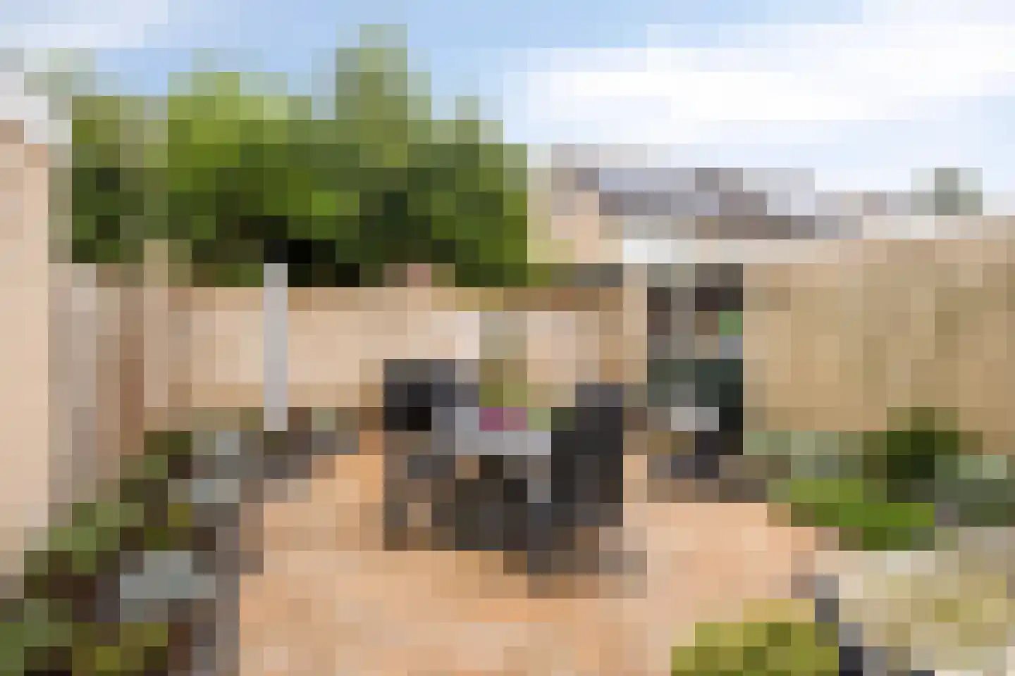 Weverstraat 37 Overdinkel thumbnail 25