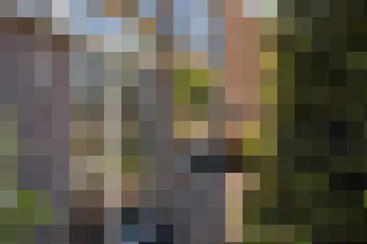 Weverstraat 37 Overdinkel thumbnail 27