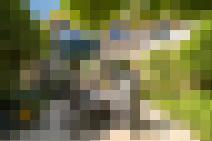 Weverstraat 37 Overdinkel thumbnail 30