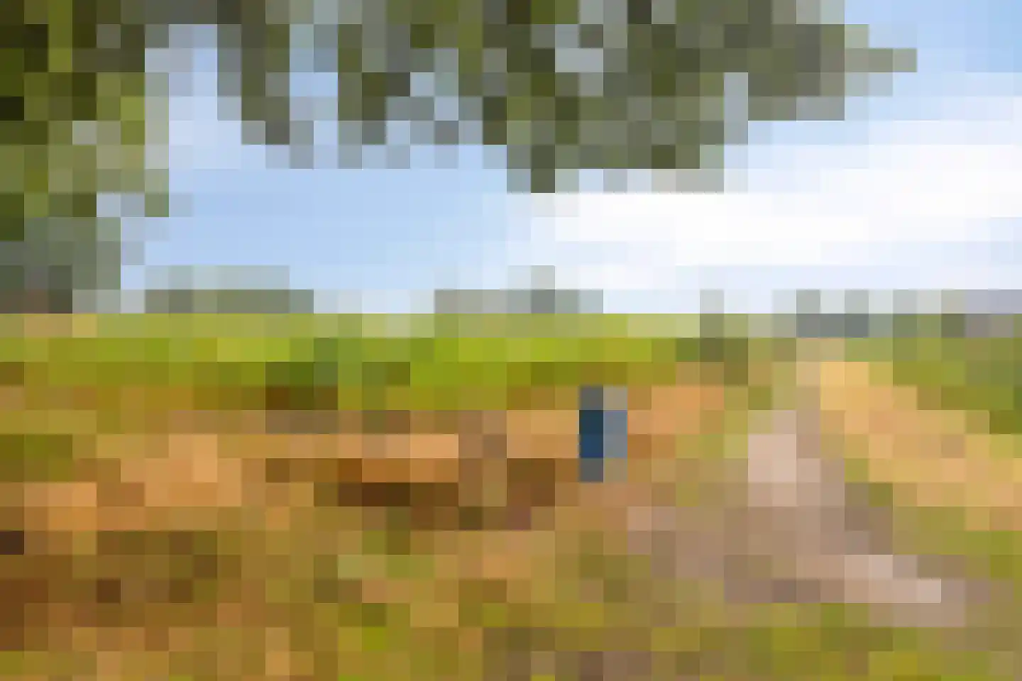 Weverstraat 37 Overdinkel thumbnail 31