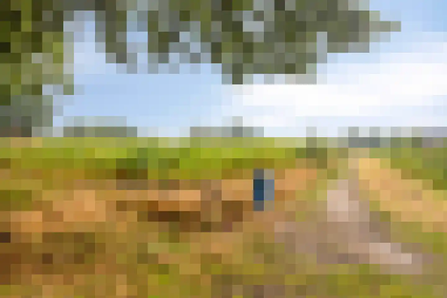 Weverstraat 37 Overdinkel thumbnail 33