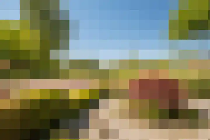 Weverstraat 37 Overdinkel thumbnail 34