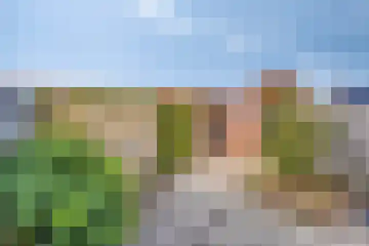 Weverstraat 4 Sevenum thumbnail 31