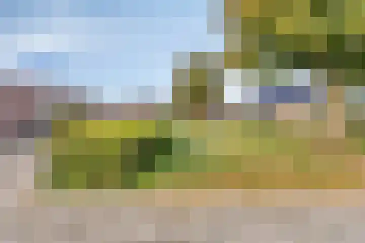 Weverstraat 4 Sevenum thumbnail 35
