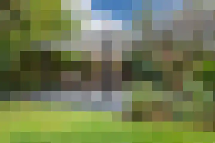Weverstraat 40 Steensel thumbnail 37