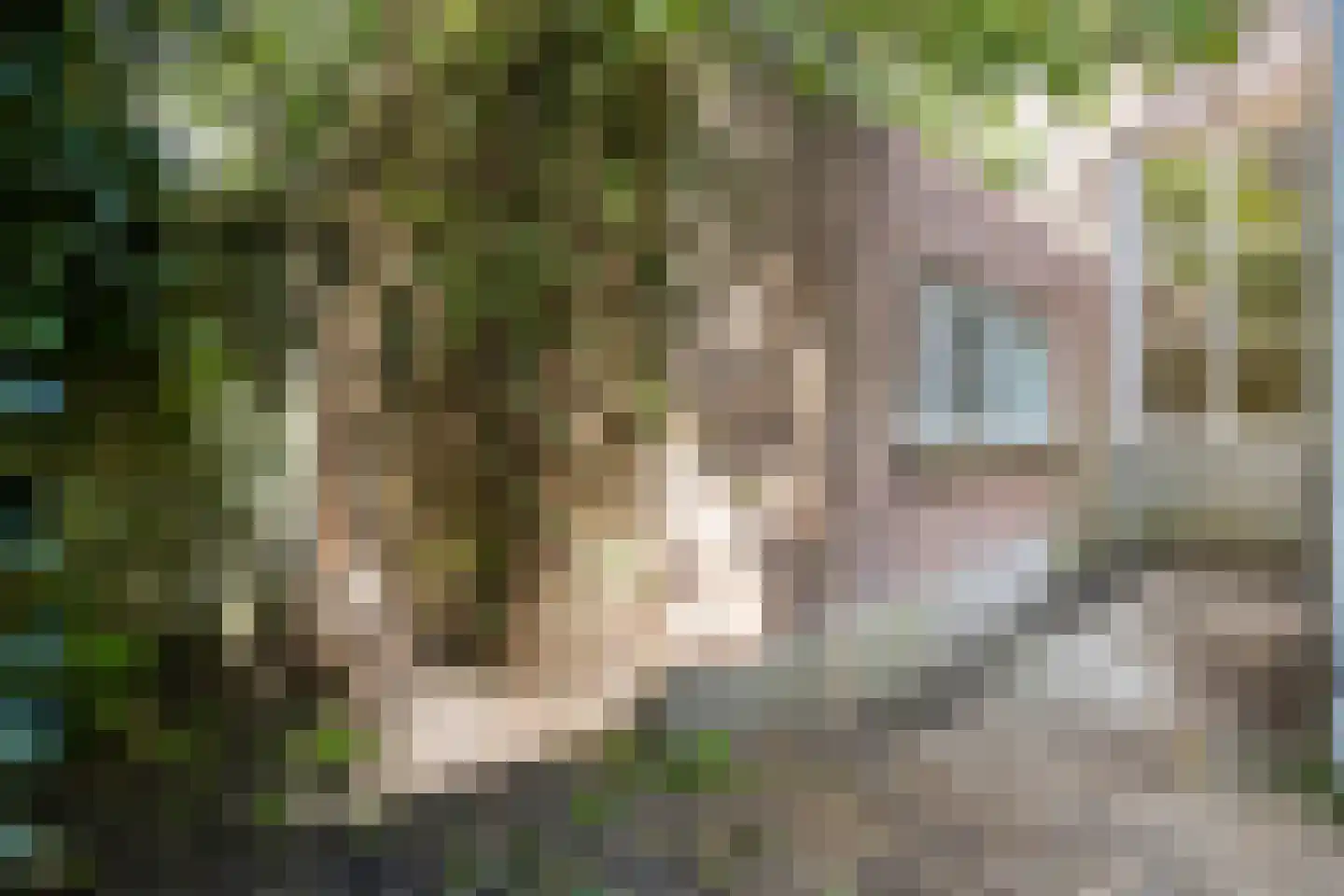Weverstraat 41 Arnhem thumbnail 27