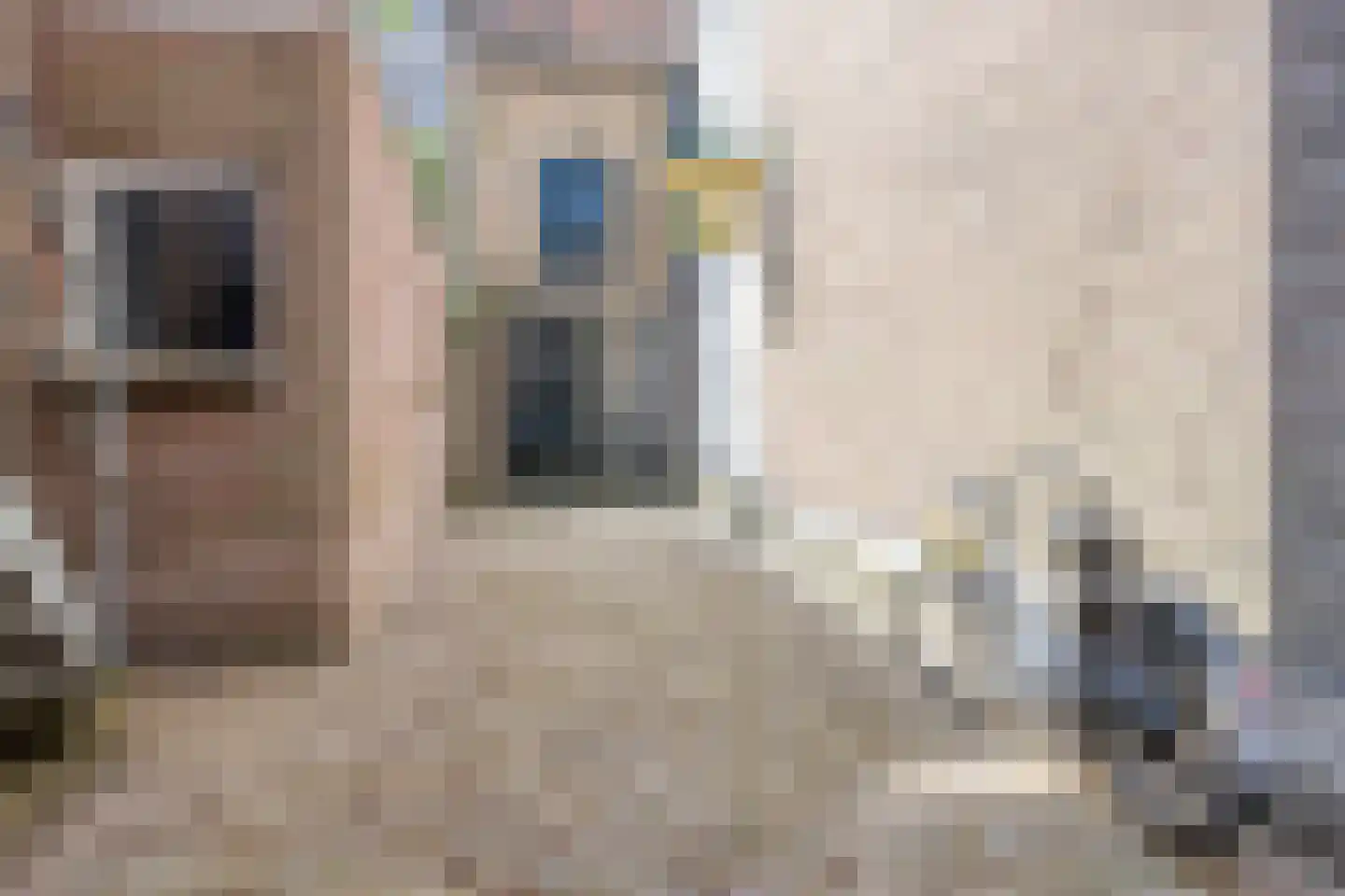 Weverstraat 41 Arnhem thumbnail 35