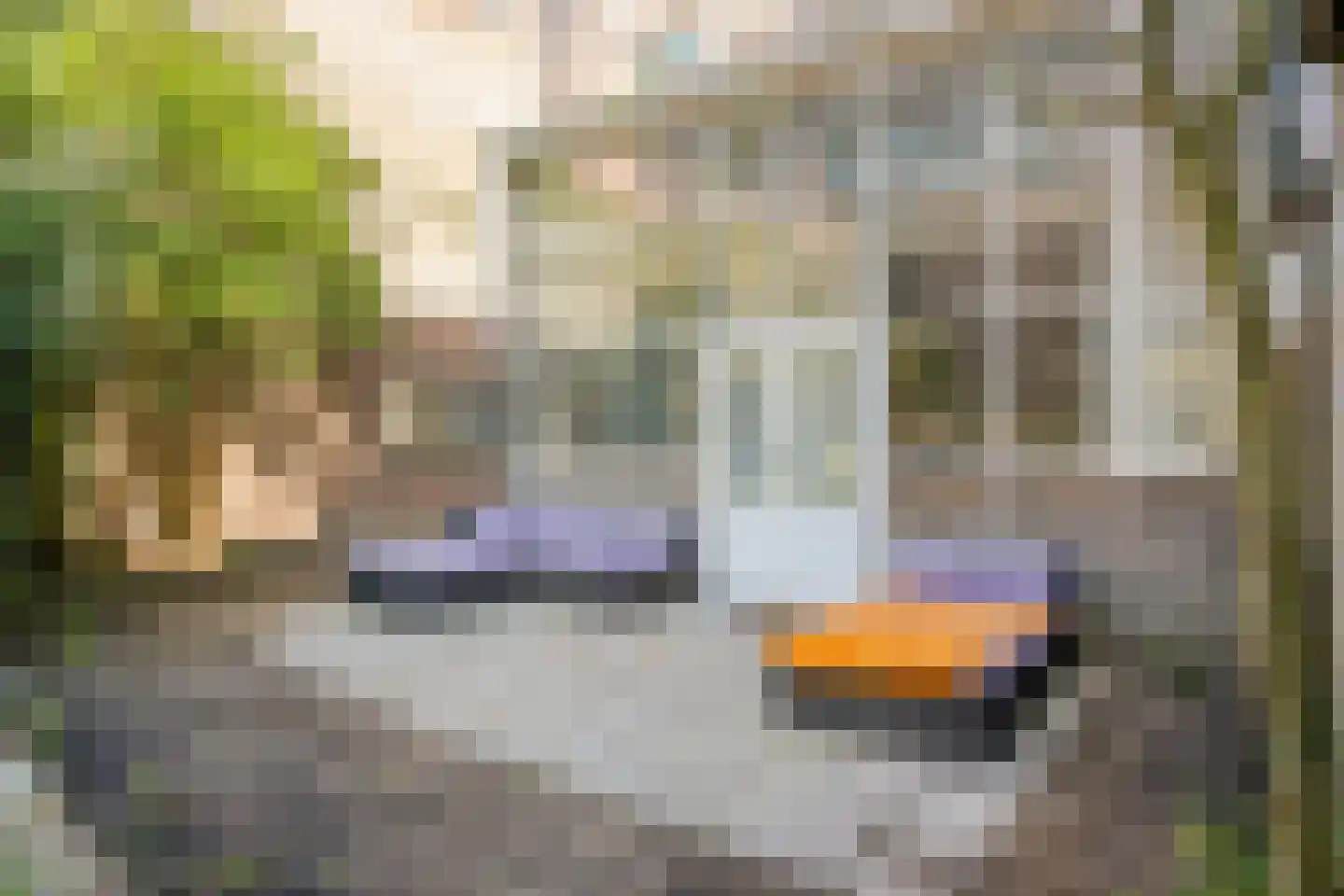 Weverstraat 41 Arnhem thumbnail 6