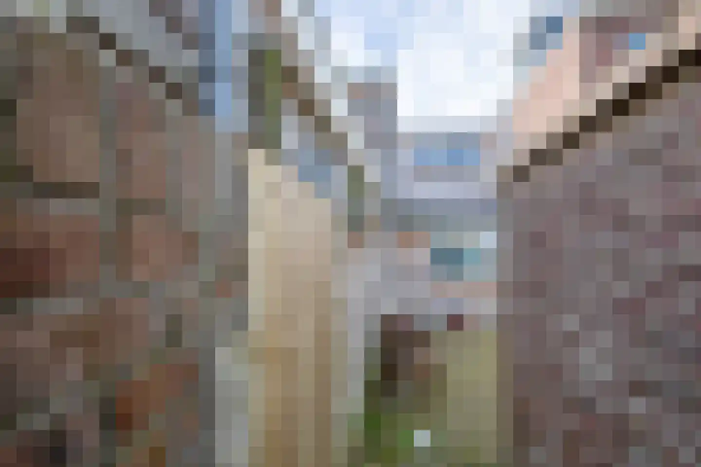 Weverstraat 45 Den Burg thumbnail 19