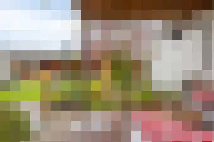 Weverstraat 49 Nuenen thumbnail 44