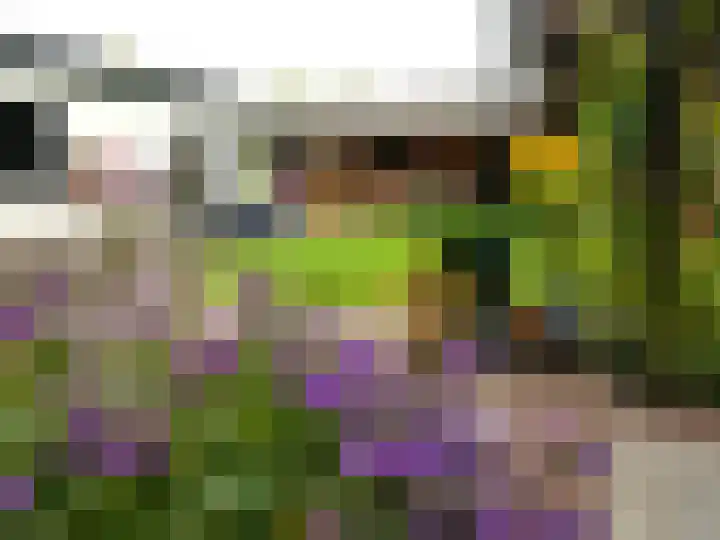 Weverstraat 49 Nuenen thumbnail 45