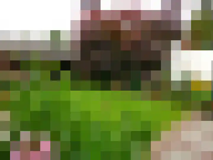 Weverstraat 49 Nuenen thumbnail 47