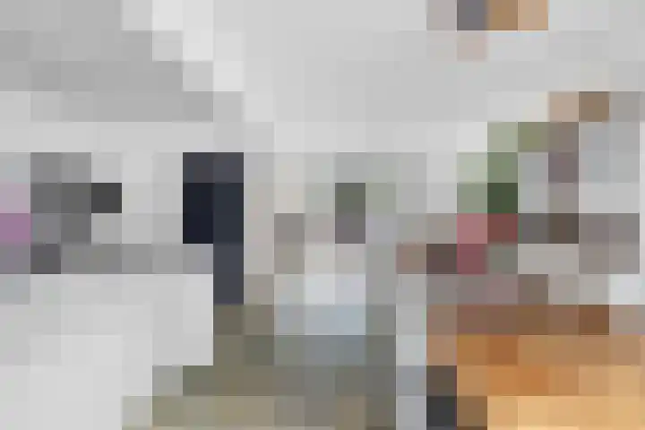 Weverstraat 5 Eindhoven thumbnail 23