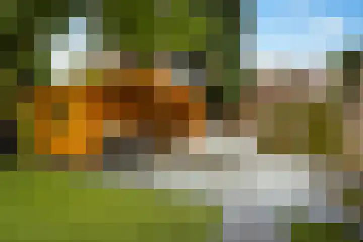 Weverstraat 5 Eindhoven thumbnail 33