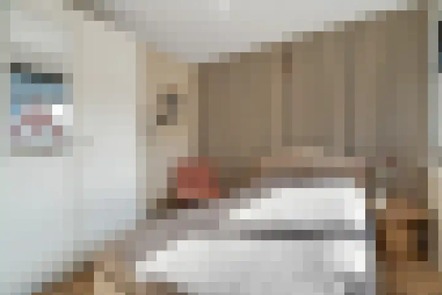 Weverstraat 5 Overdinkel thumbnail 28
