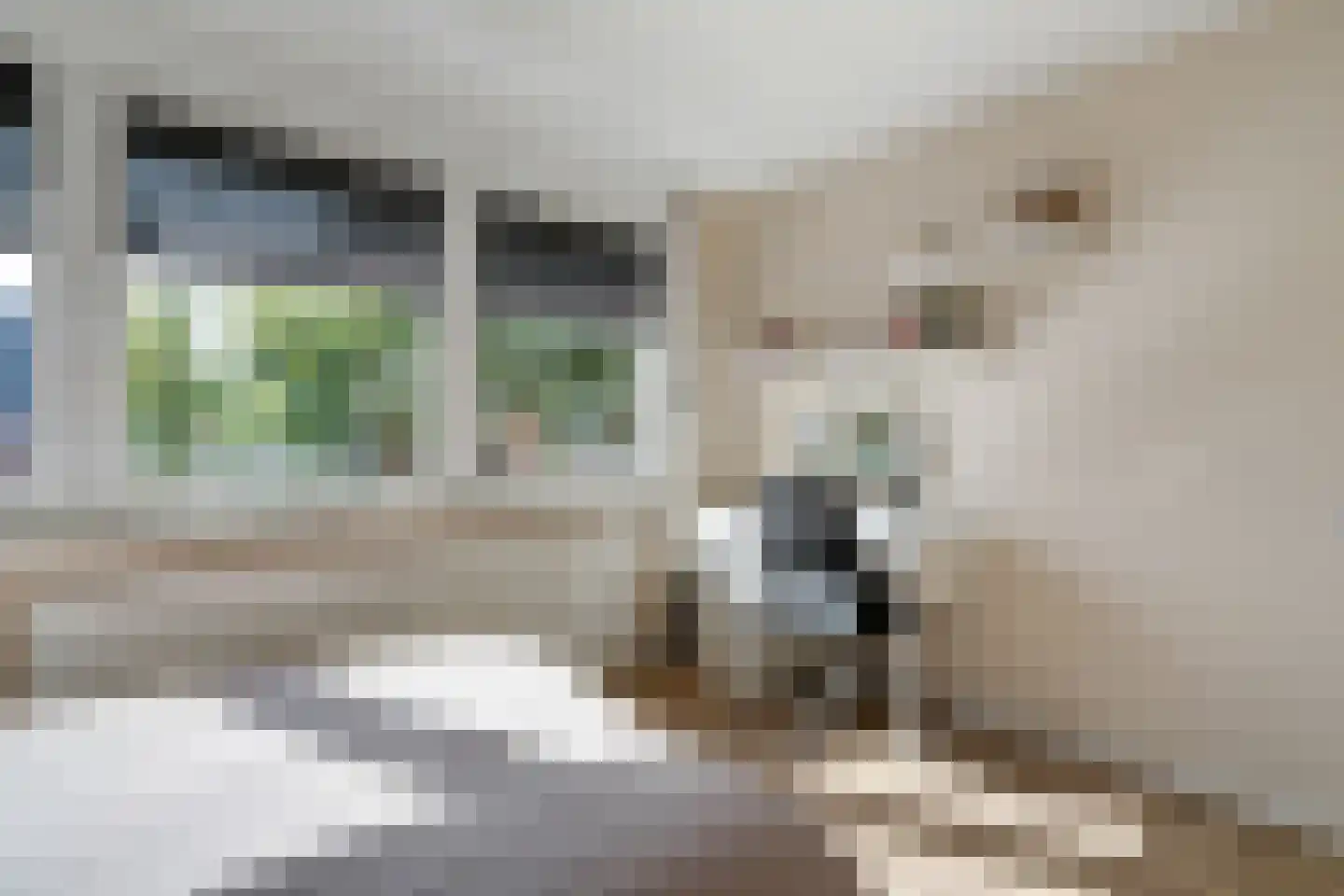 Weverstraat 5 Overdinkel thumbnail 29