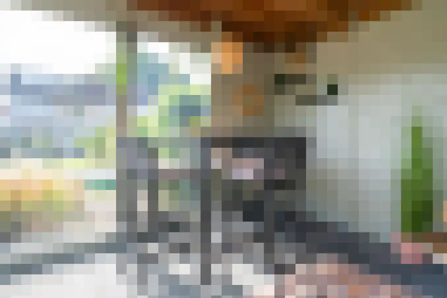 Weverstraat 5 Overdinkel thumbnail 40