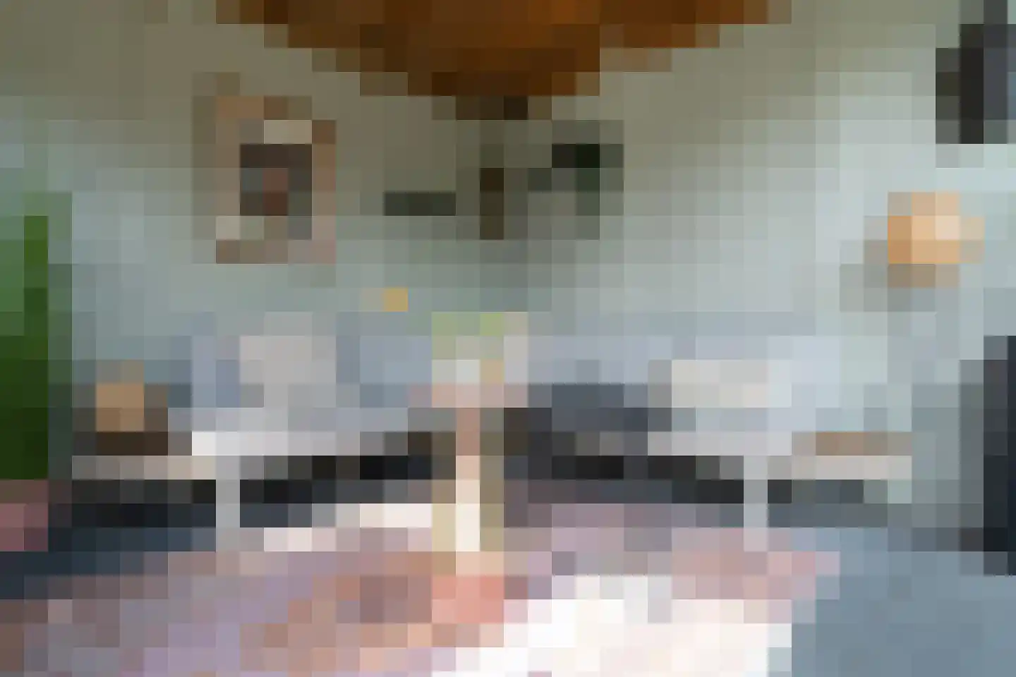 Weverstraat 5 Overdinkel thumbnail 41