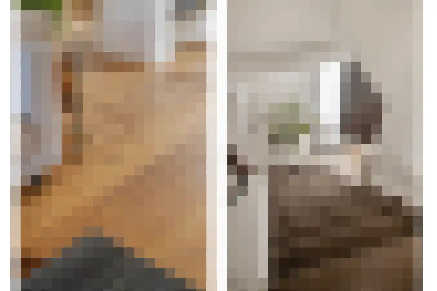 Weverstraat 5 Son en Breugel thumbnail 14