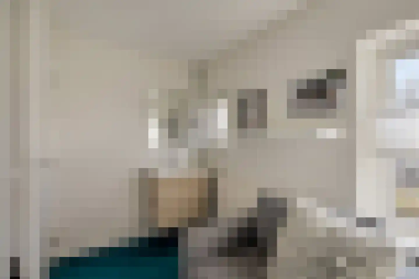Weverstraat 5 Son en Breugel thumbnail 22