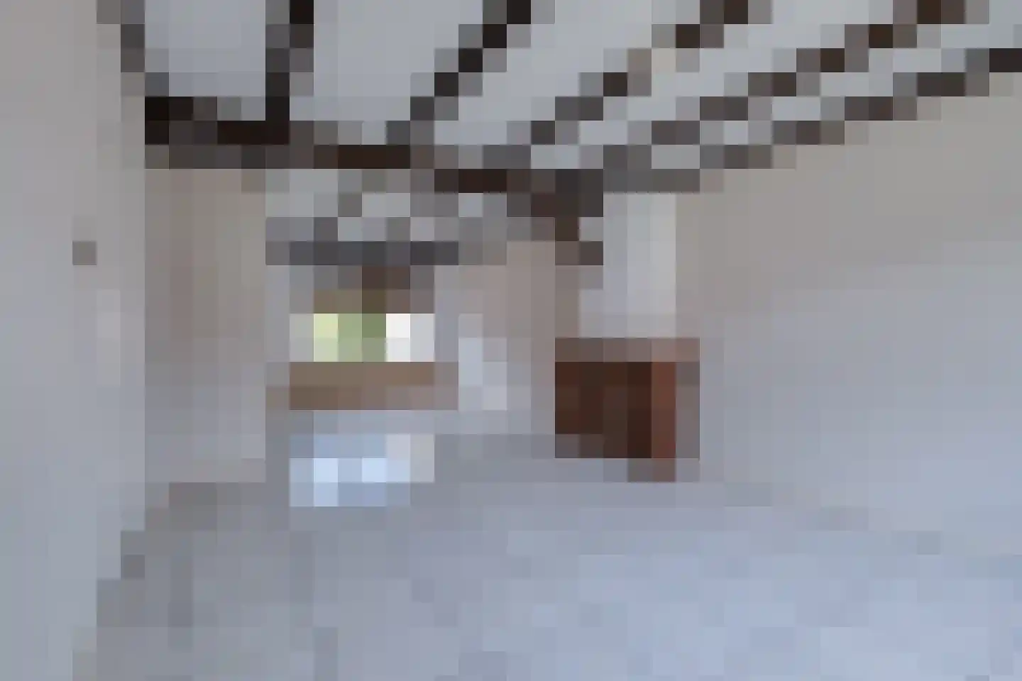 Weverstraat 5 Susteren thumbnail 13